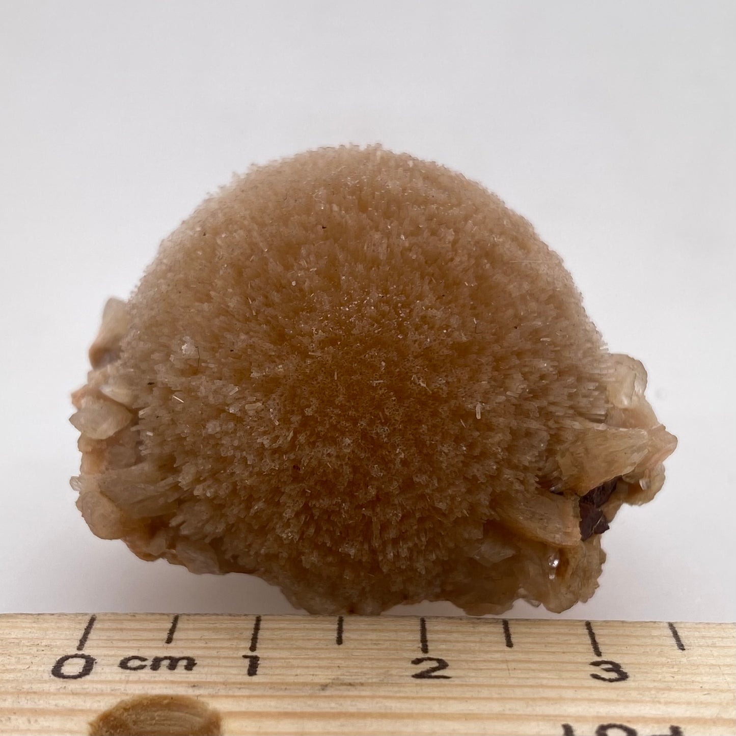 Zeolite var. Thomsonite - Maharashtra, India