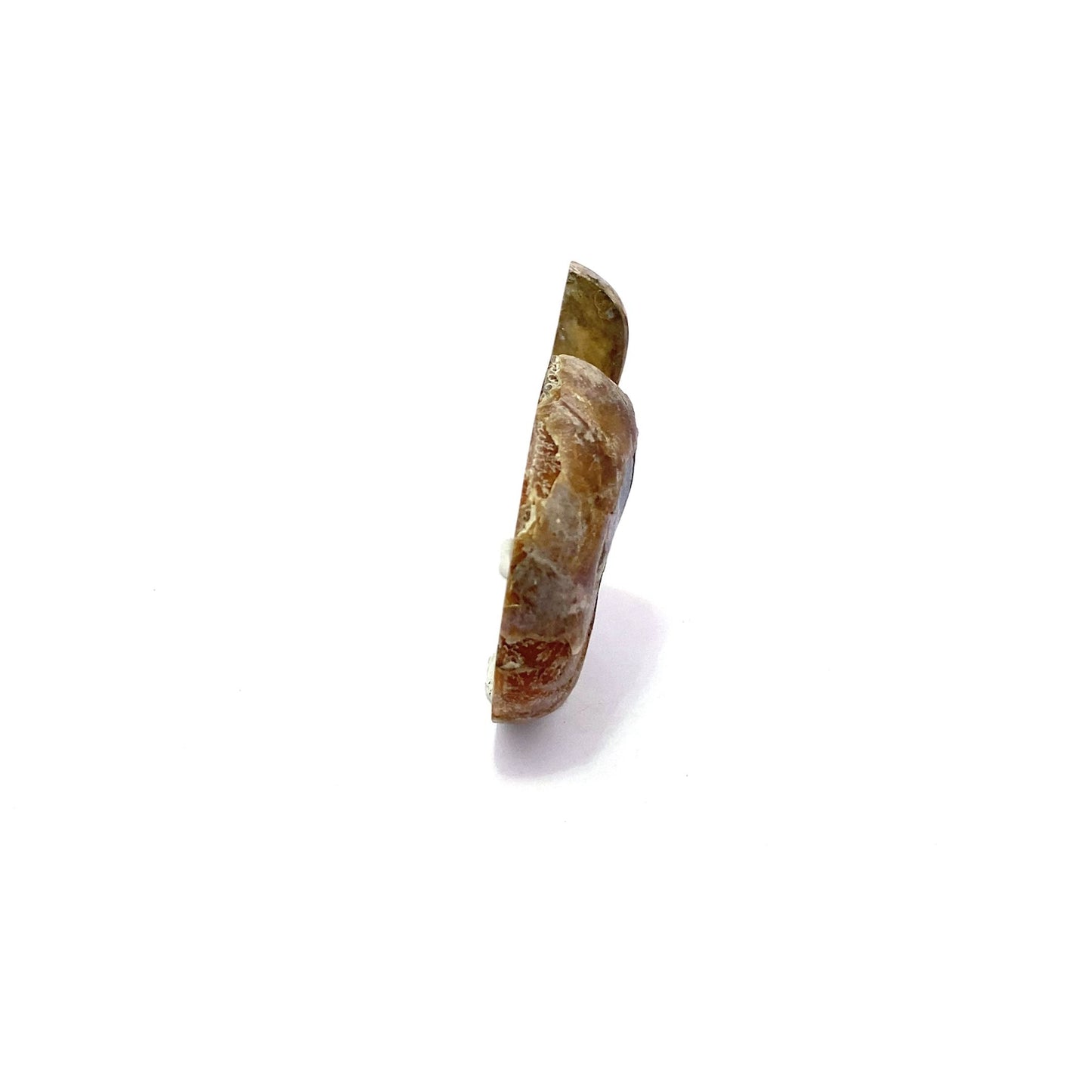 35mm Fossil Ammonite - Madagascar