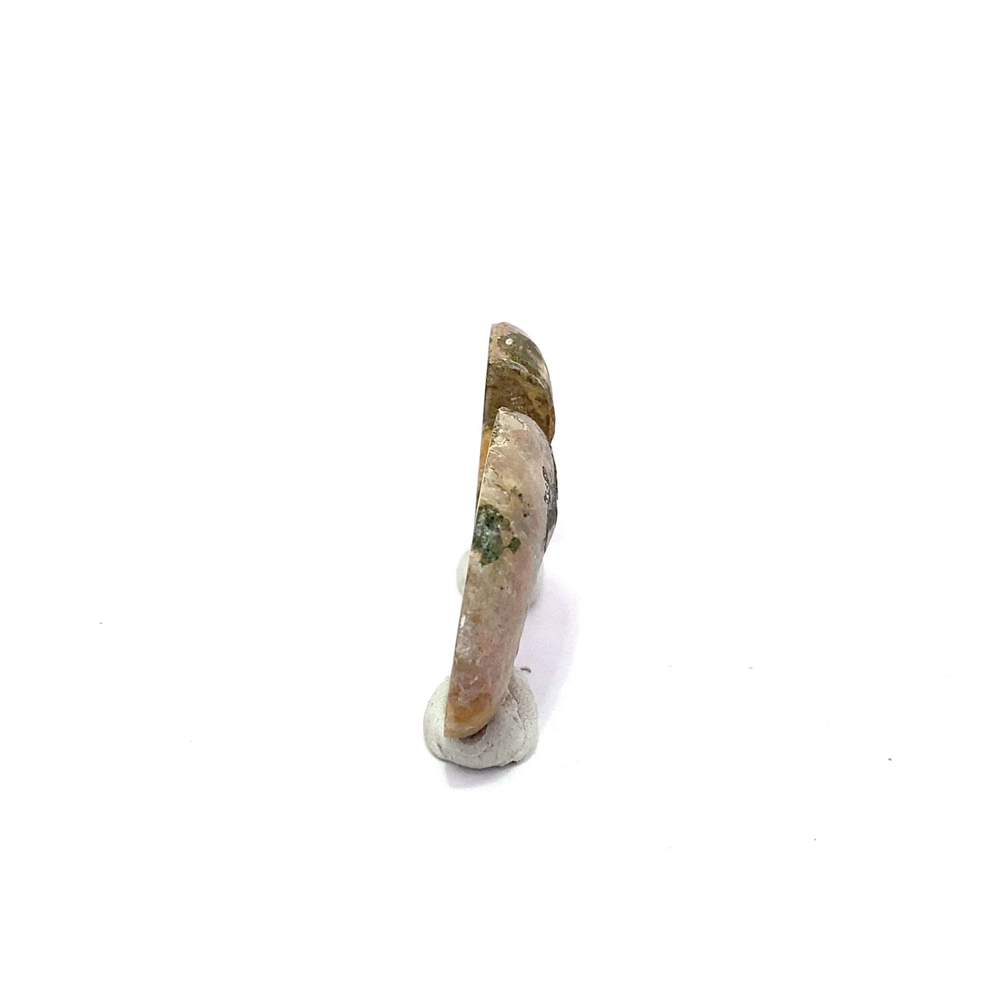 30mm Fossil Ammonite - Madagascar