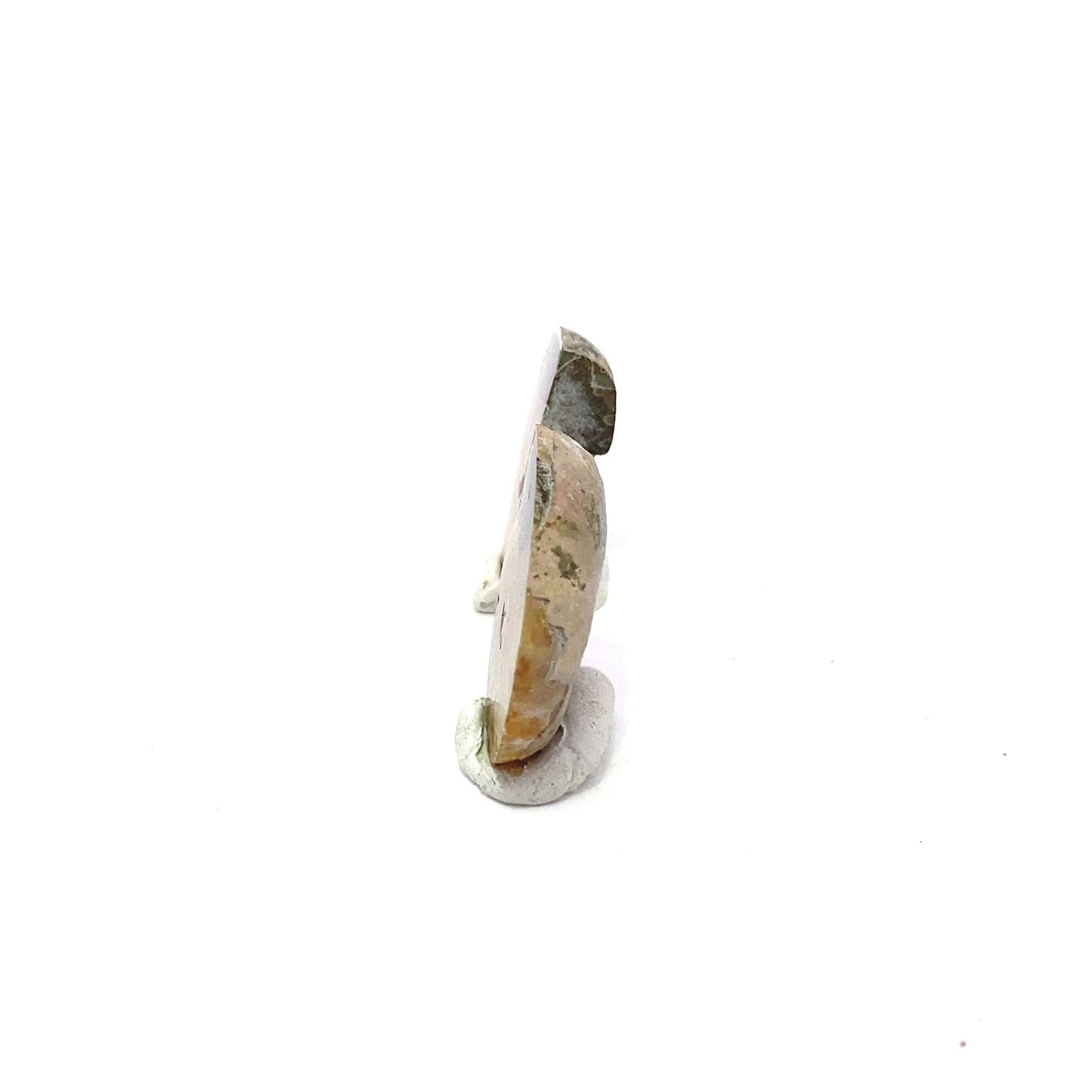 25mm Fossil Ammonite - Madagascar