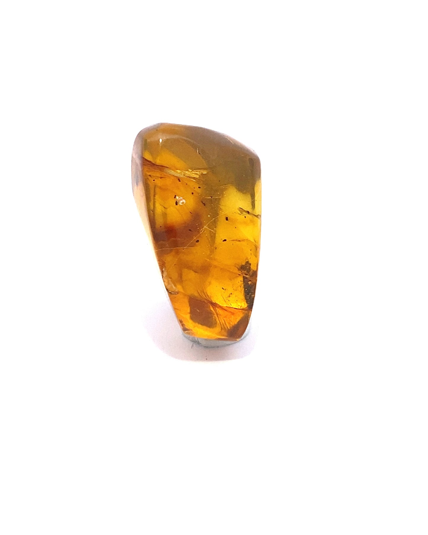 Amber with Insects from Chiapas, Mexico