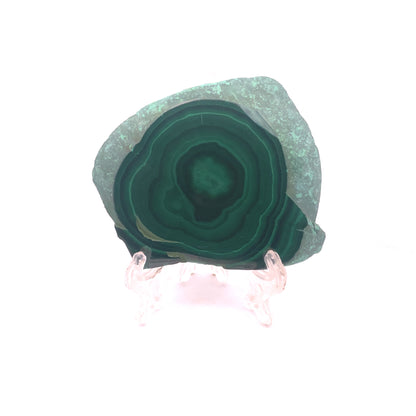 AAA Grade Malachite Slice Bullseye Orb Pattern from Congo