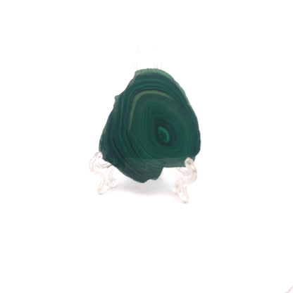 AAA Grade Malachite Slice Bullseye Orb Pattern from Congo