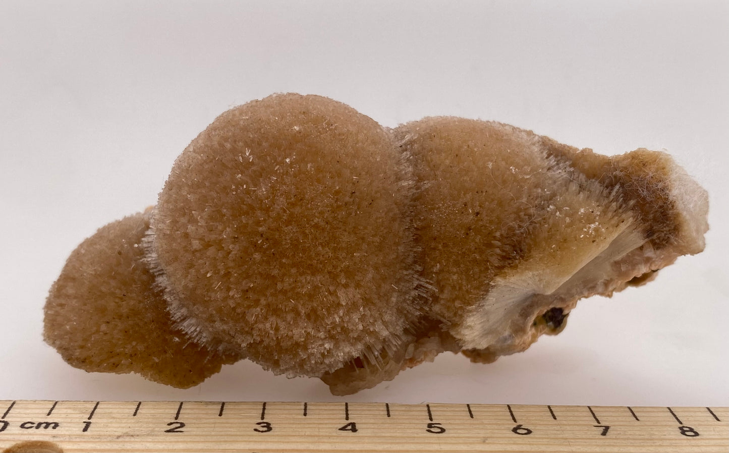 Zeolite var. Thomsonite - Maharashtra, India