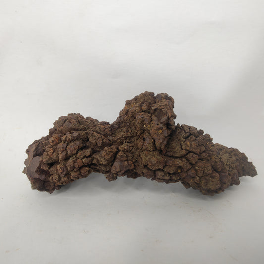 Croprolite - Fossil Dinosaur Poop - Madagascar