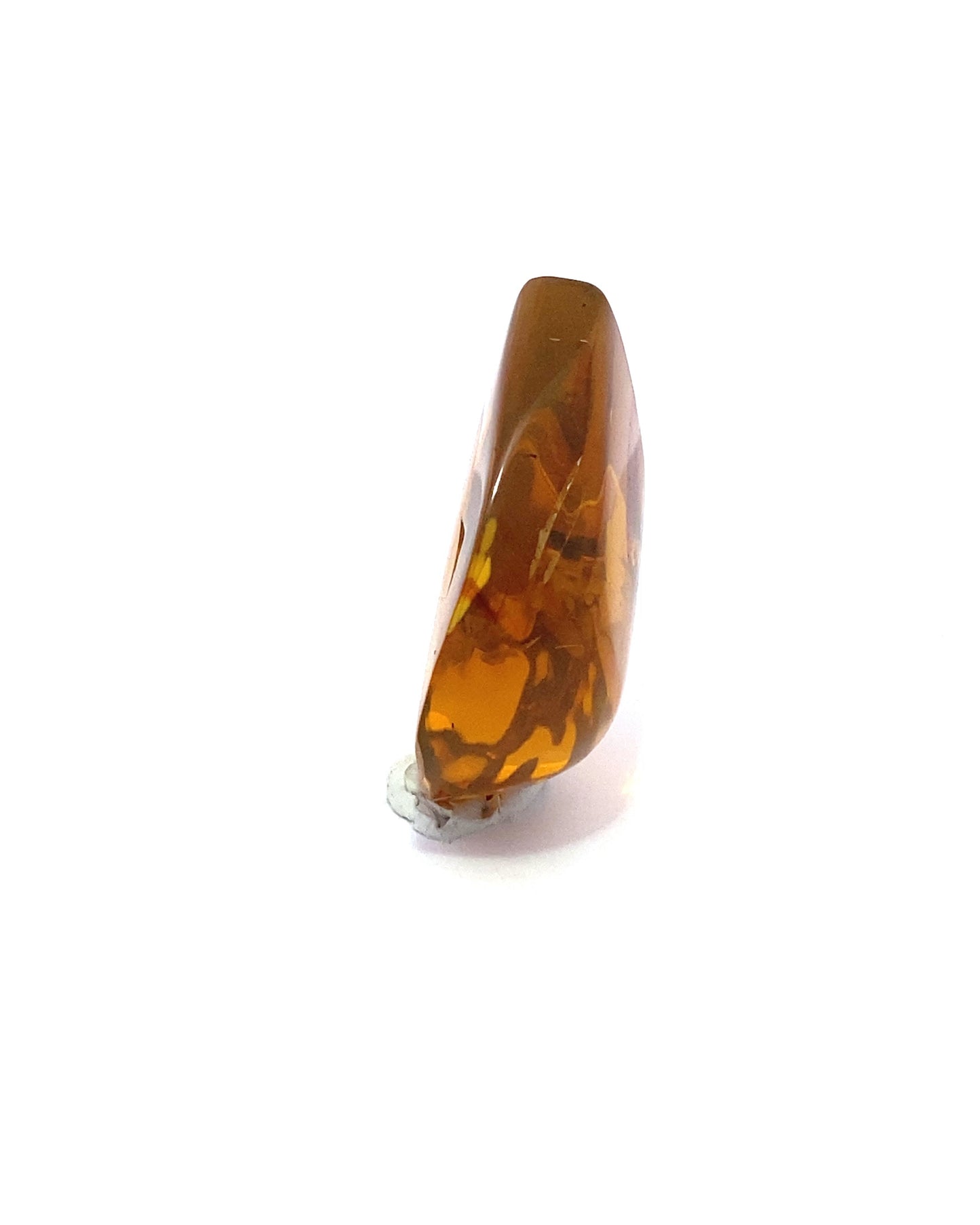 Amber with Insects from Chiapas, Mexico