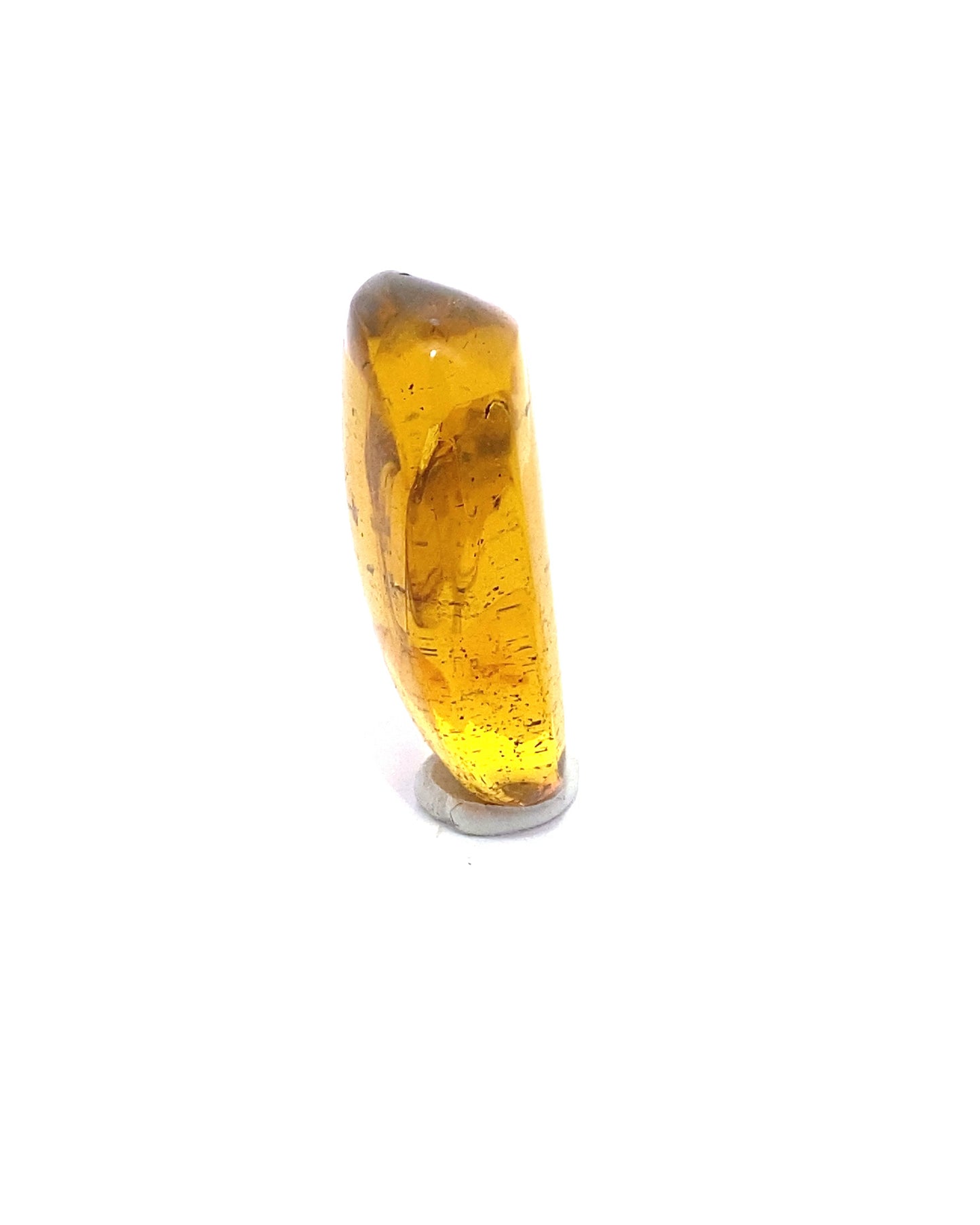 Amber with Insects from Chiapas, Mexico