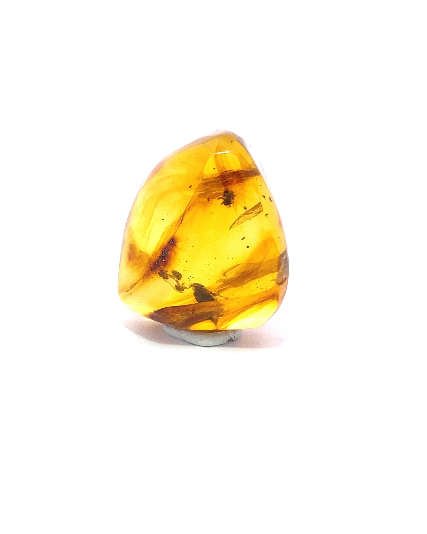 Amber with Insects from Chiapas, Mexico