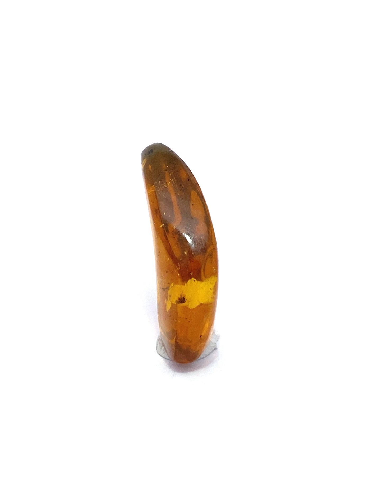 Amber with Insects from Chiapas, Mexico