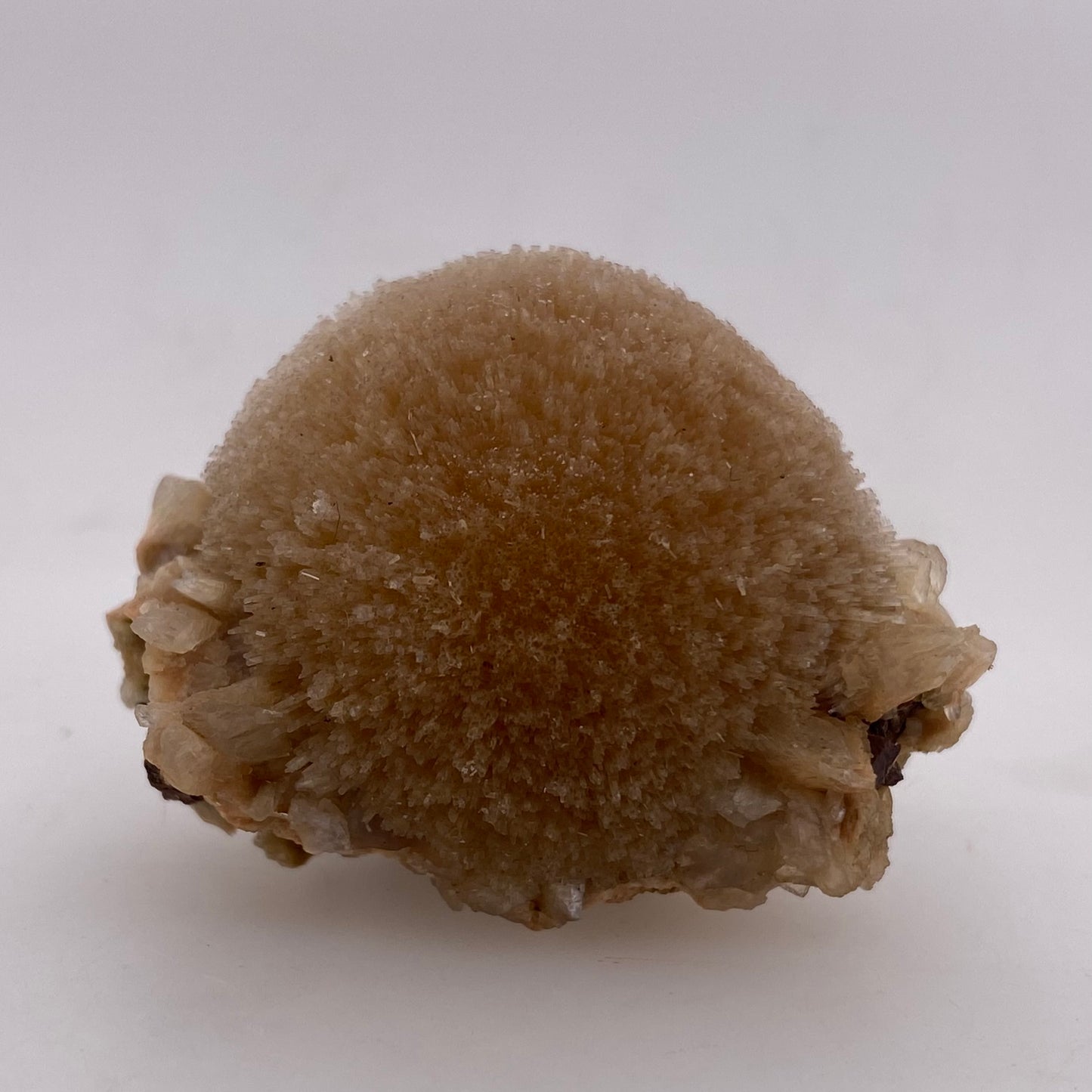 Zeolite var. Thomsonite - Maharashtra, India