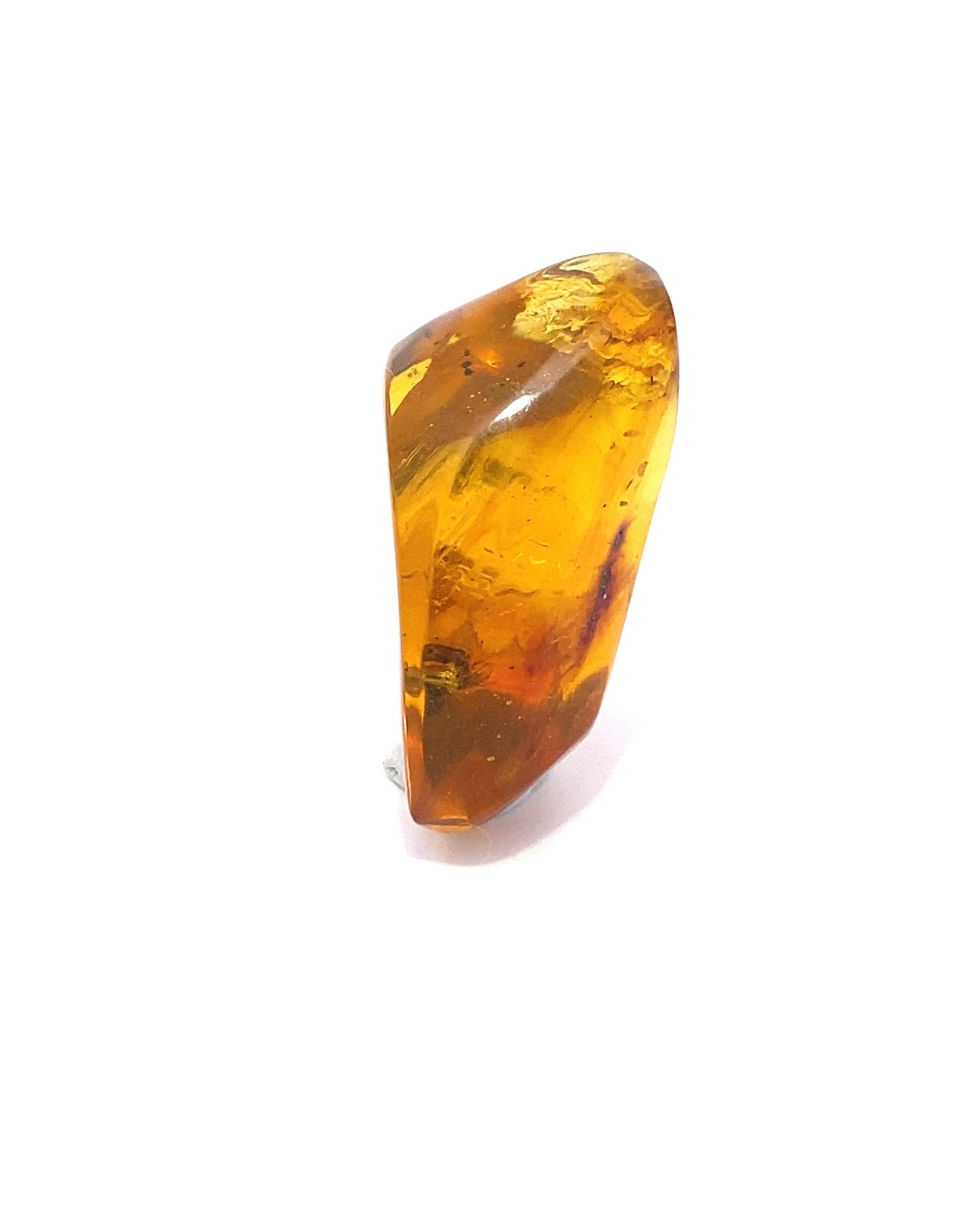 Amber with Insects from Chiapas, Mexico