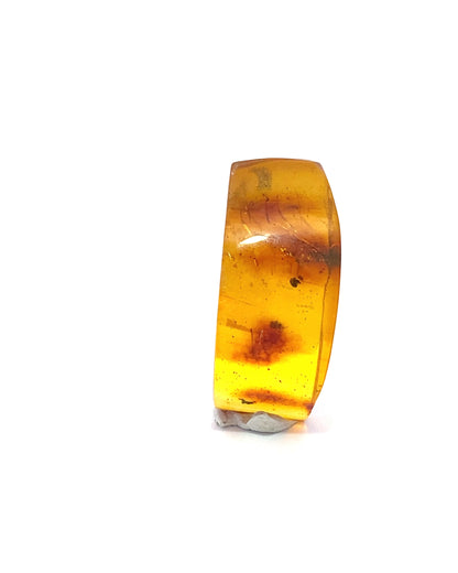 Amber with Insects from Chiapas, Mexico