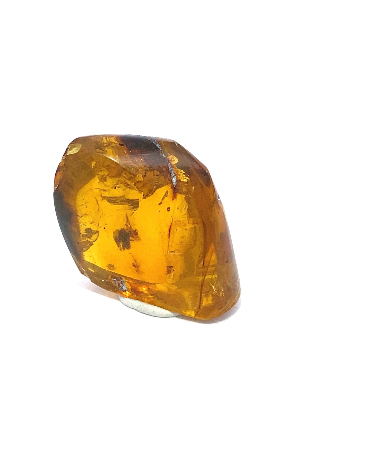 Amber with Insects from Chiapas, Mexico