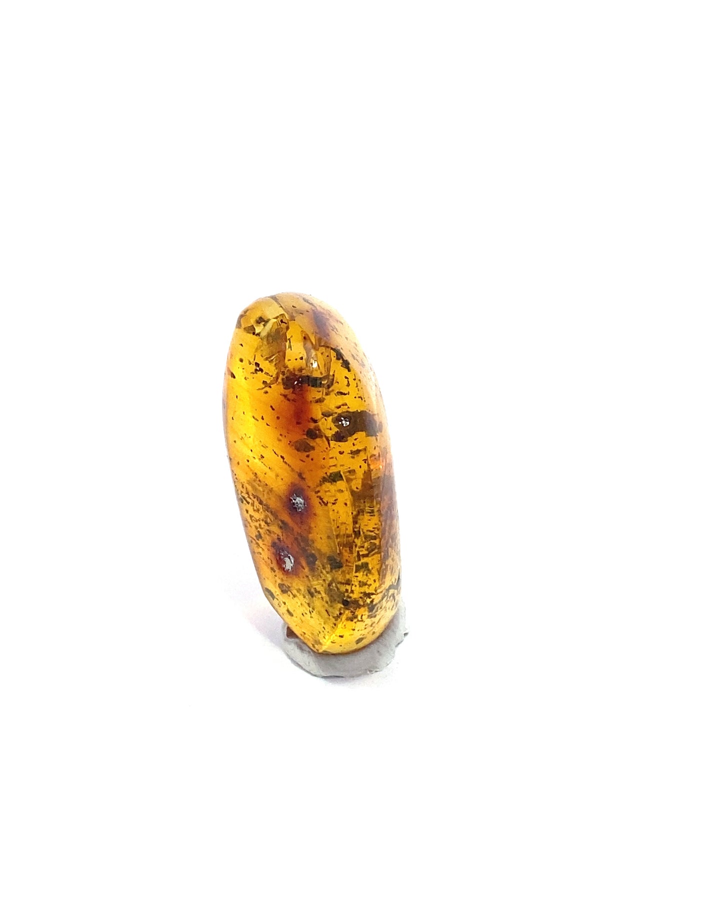 Amber with Insects from Chiapas, Mexico