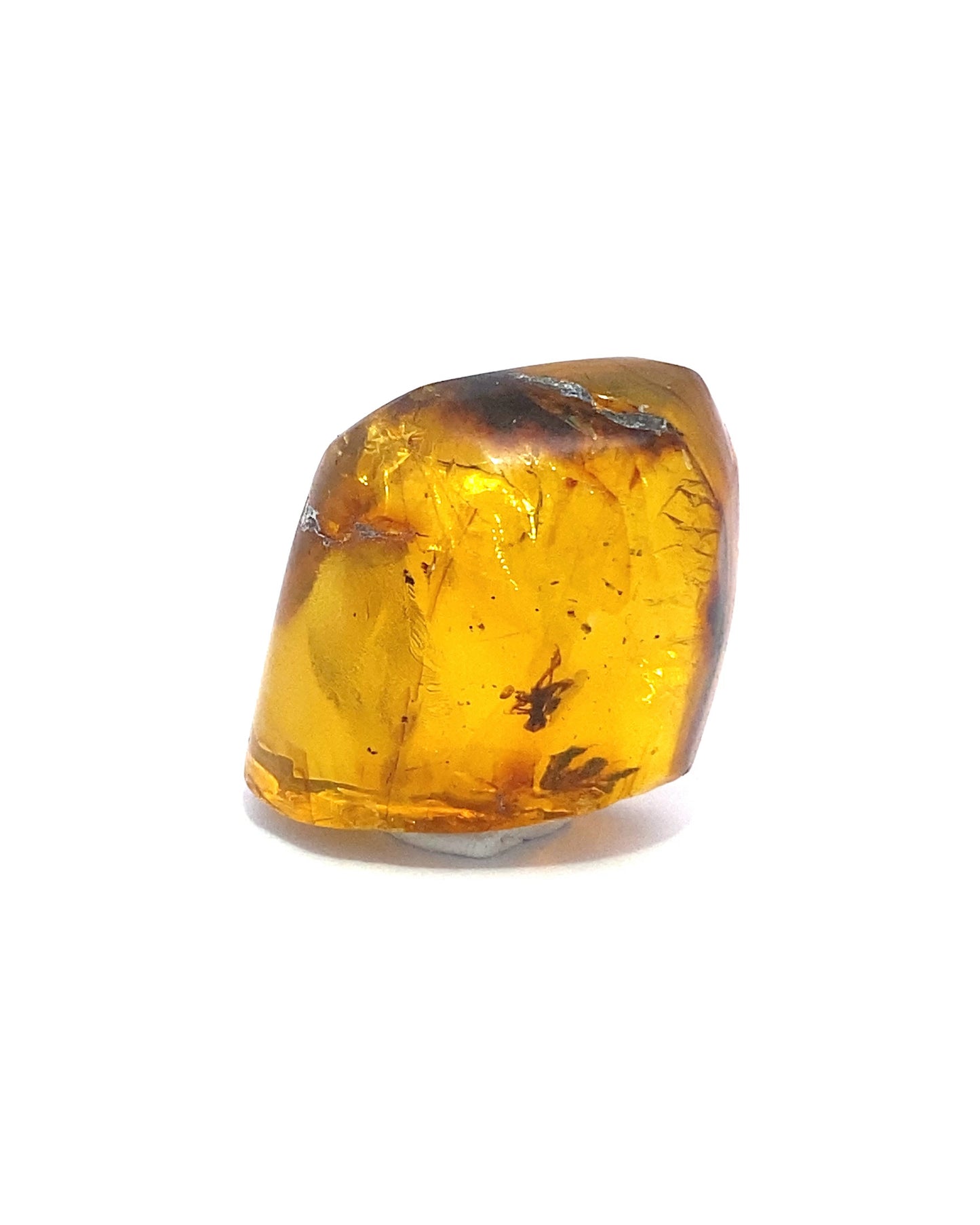Amber with Insects from Chiapas, Mexico
