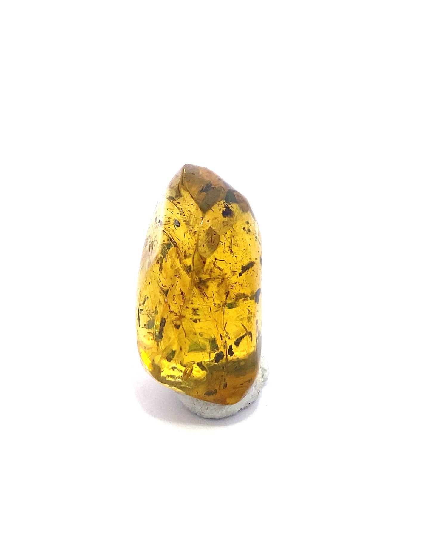 Amber with Insects from Chiapas, Mexico