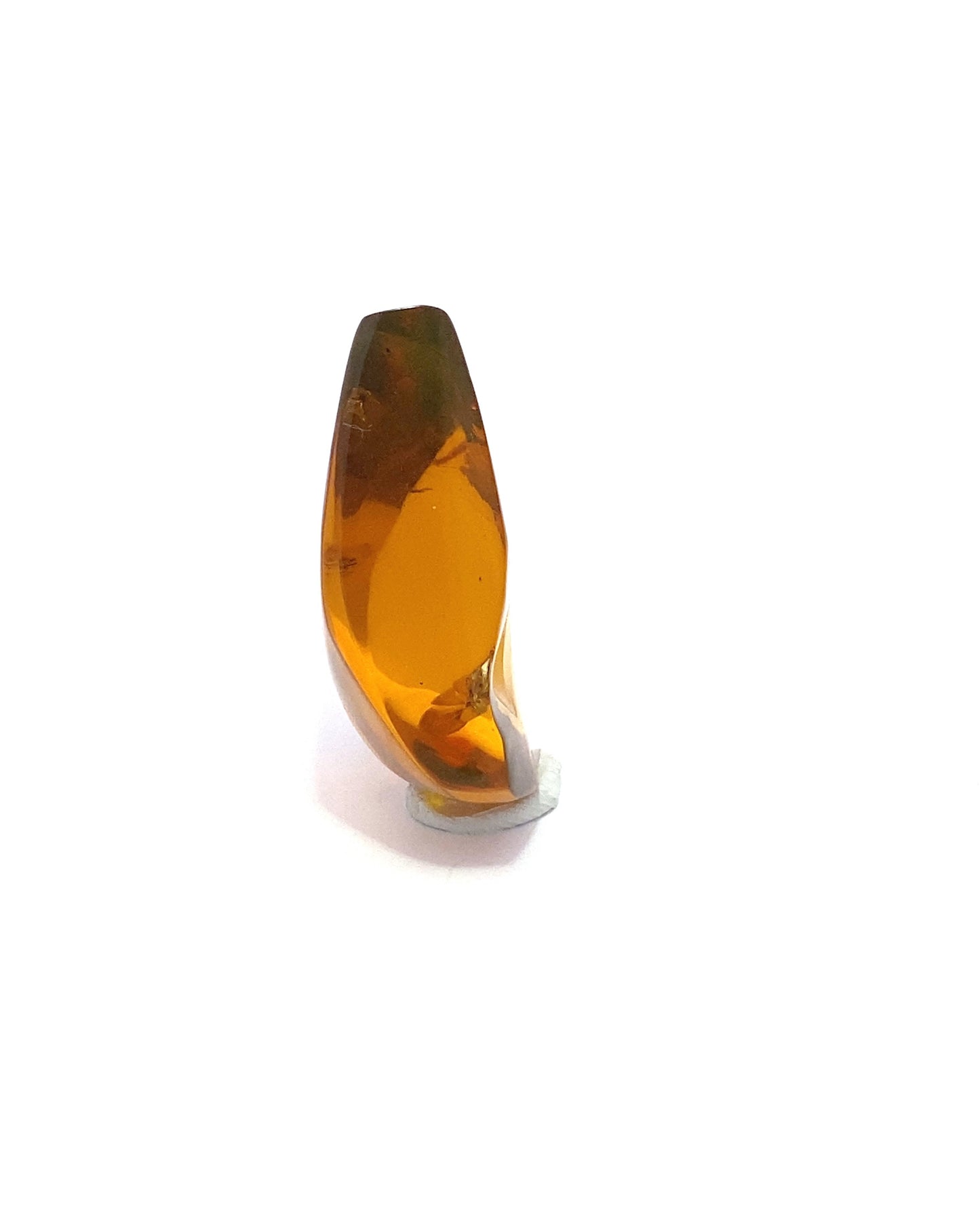Amber with Insects from Chiapas, Mexico