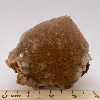 Zeolite var. Thomsonite - Maharashtra, India