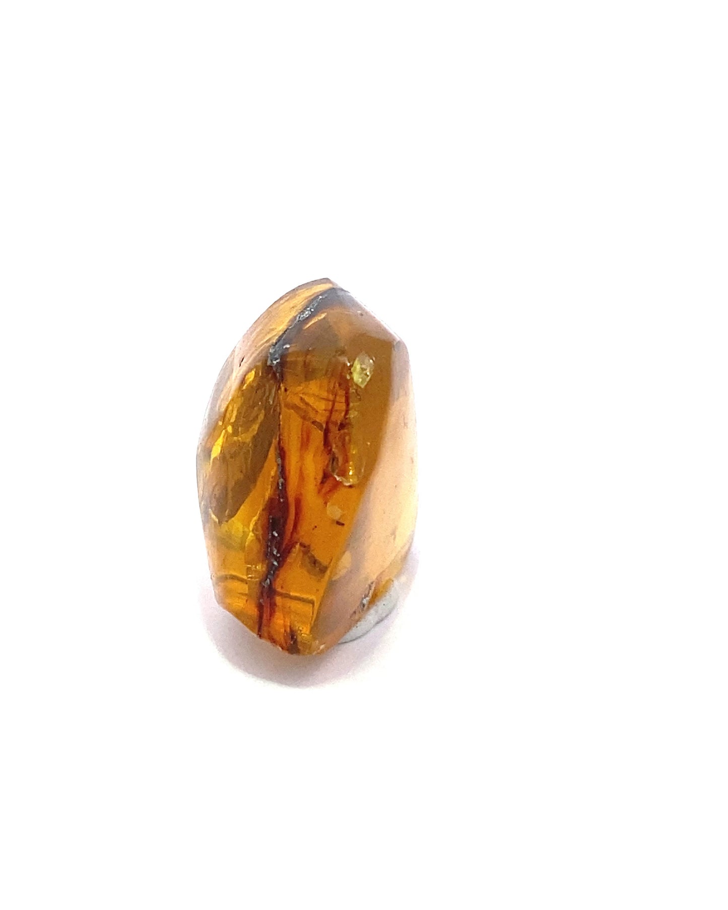 Amber with Insects from Chiapas, Mexico