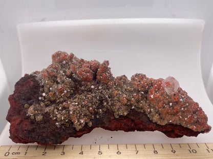 Red Calcite - St Eulalia, Mexico