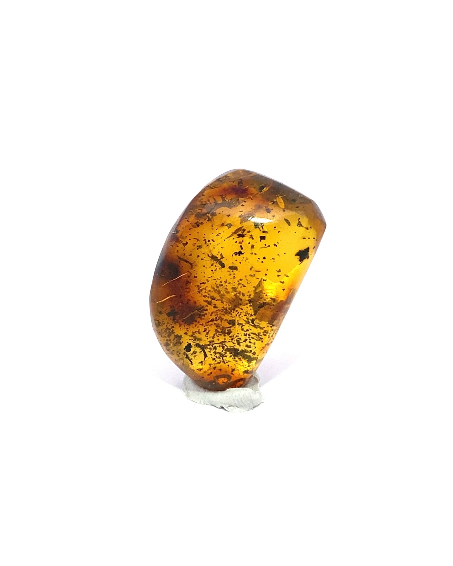 Amber with Insects from Chiapas, Mexico