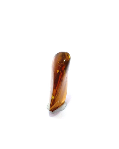 Amber with Insects from Chiapas, Mexico