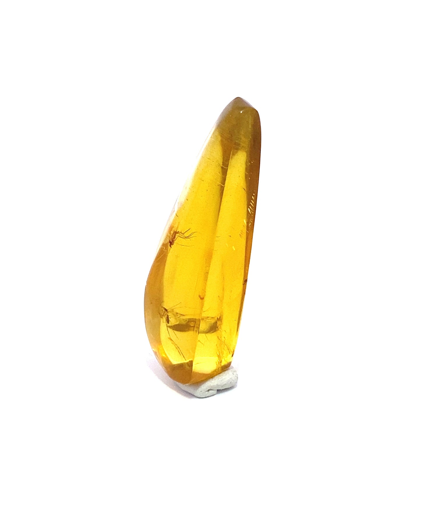 Amber with Insects from Chiapas, Mexico