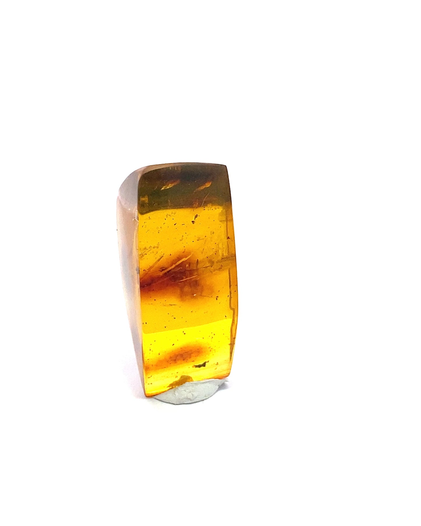Amber with Insects from Chiapas, Mexico