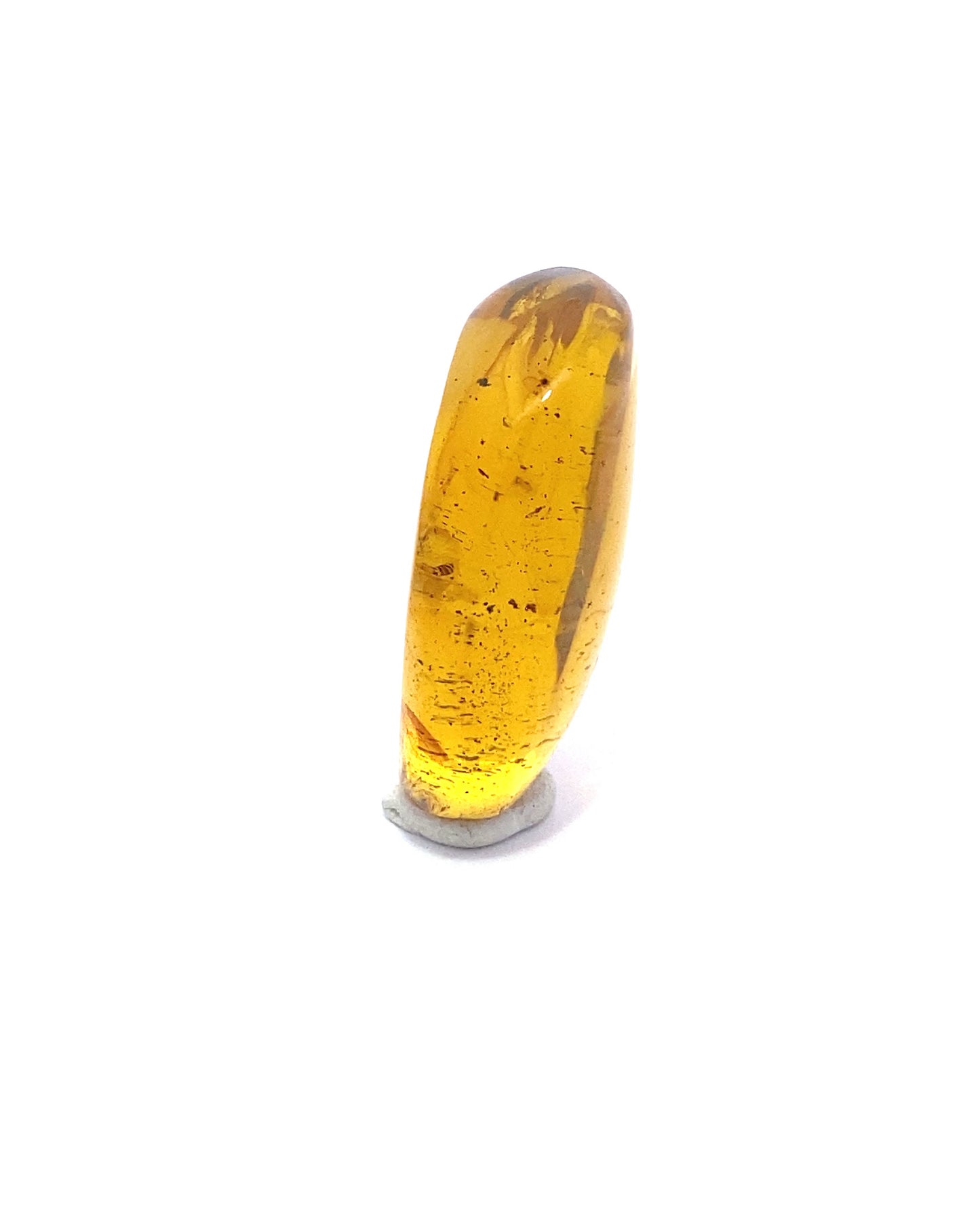 Amber with Insects from Chiapas, Mexico