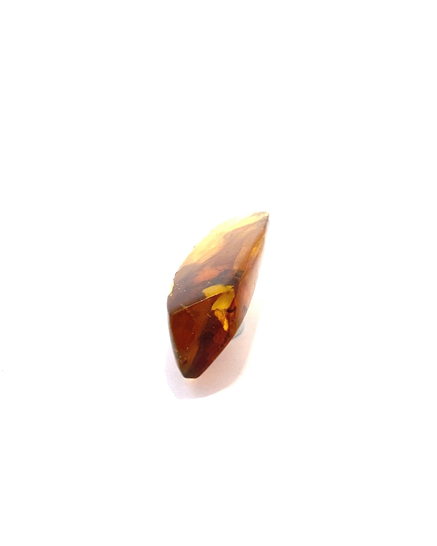 Amber with Insects from Chiapas, Mexico