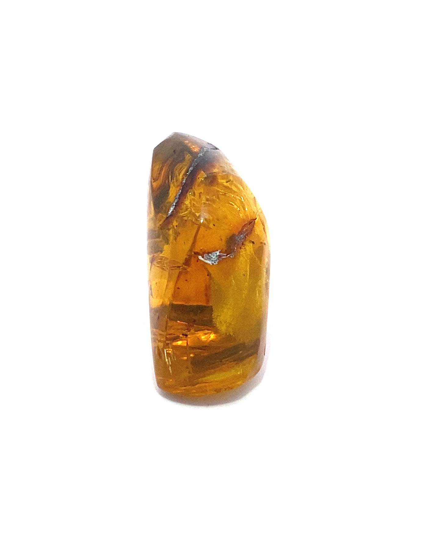 Amber with Insects from Chiapas, Mexico