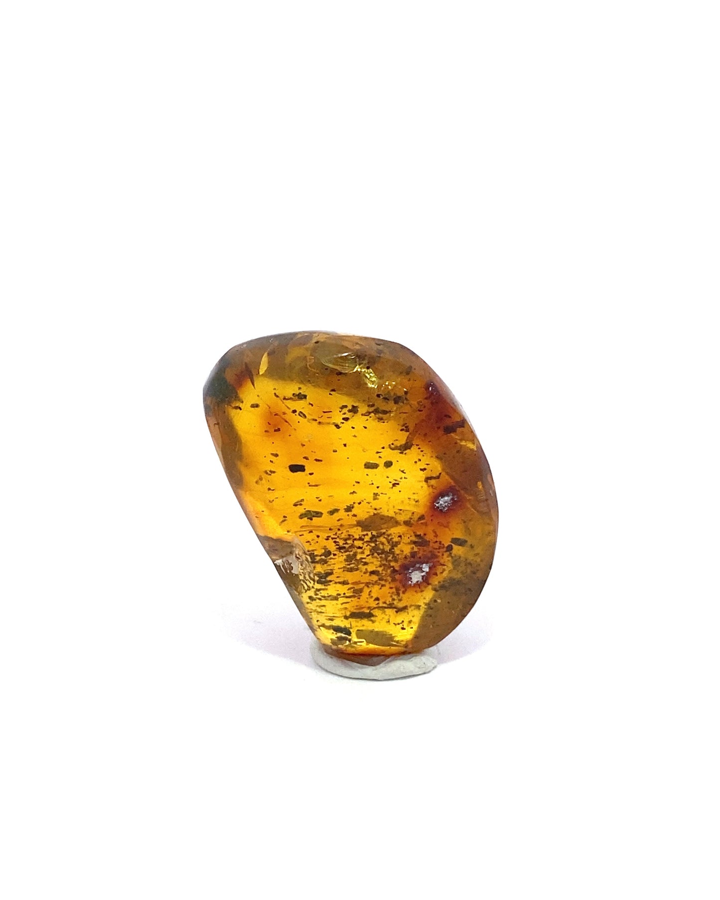 Amber with Insects from Chiapas, Mexico