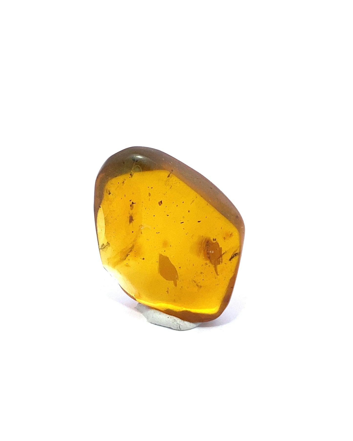 Amber with Insects from Chiapas, Mexico