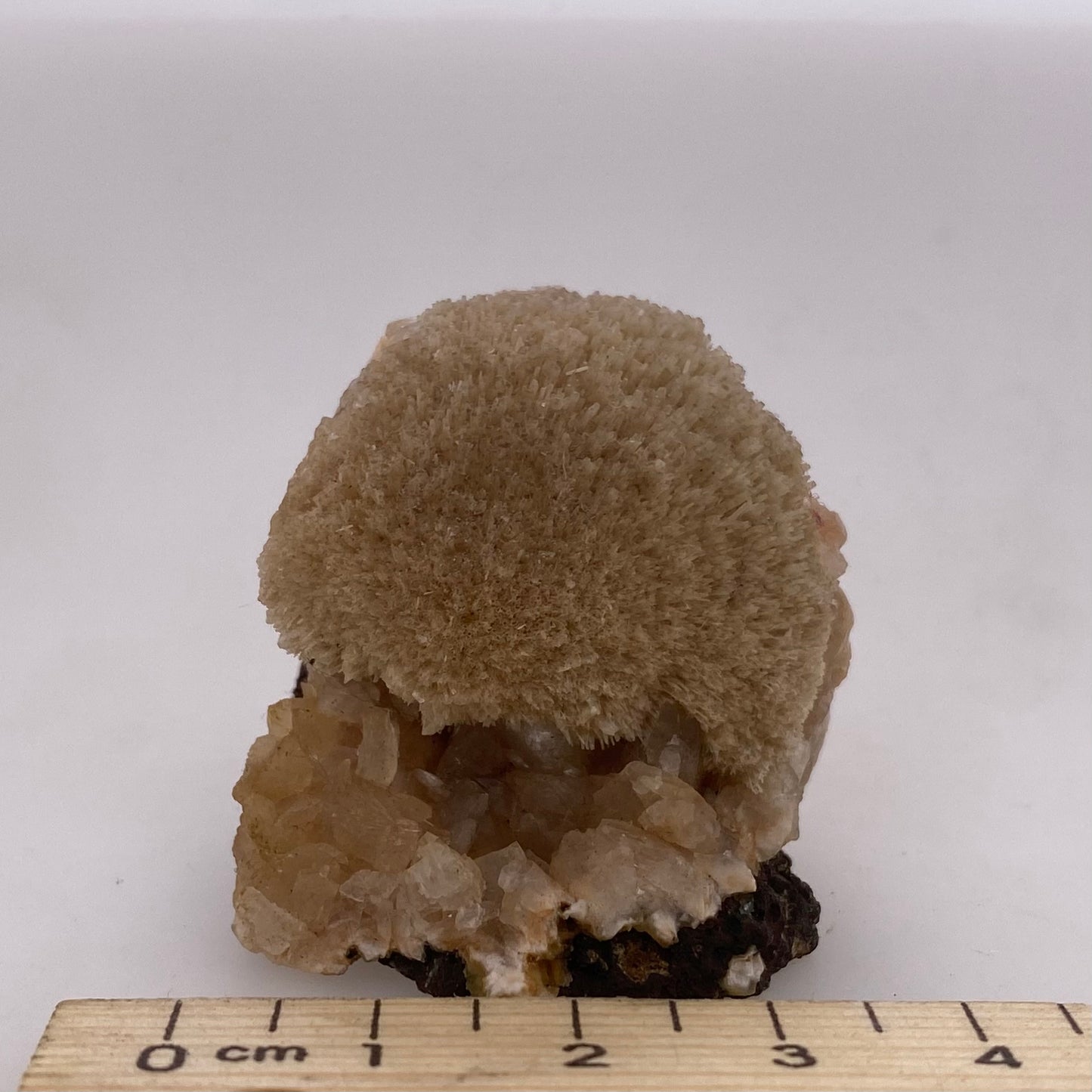 Zeolite var. Thomsonite - Maharashtra, India