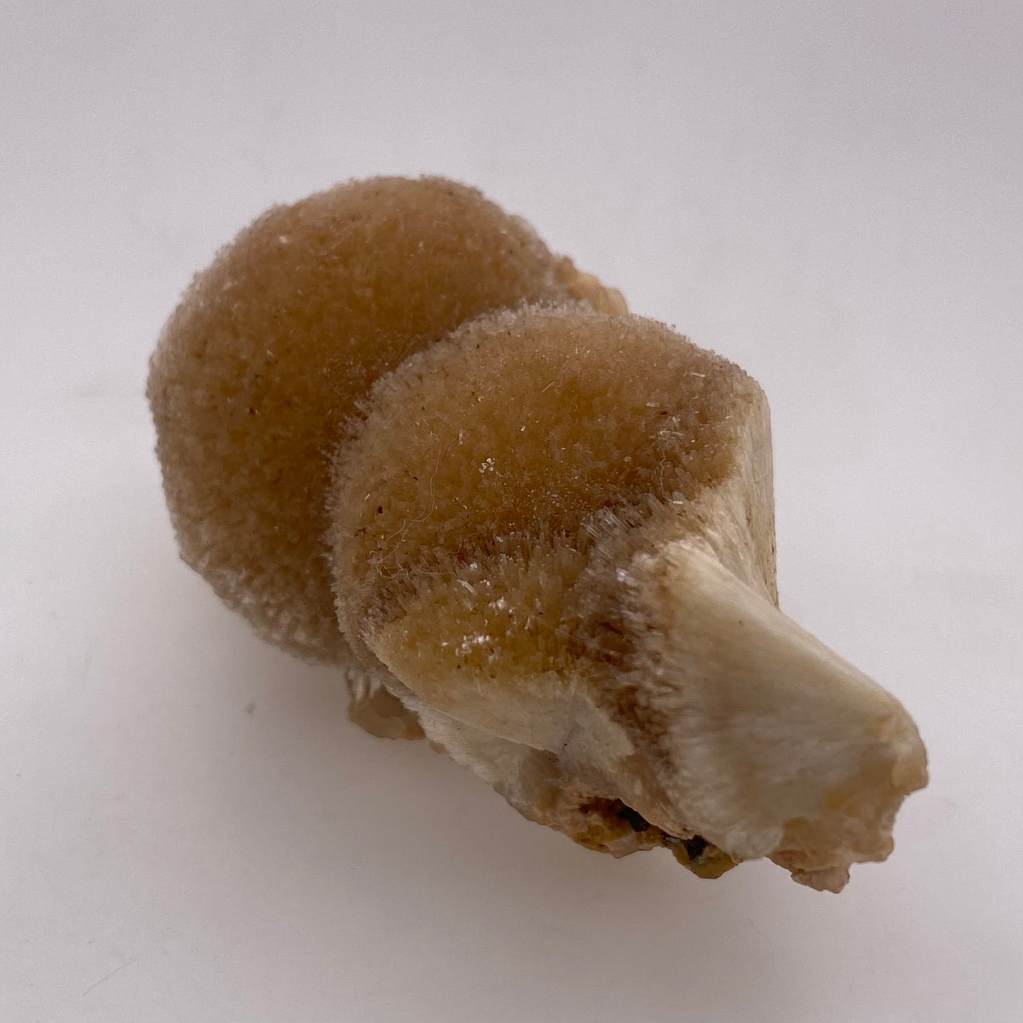 Zeolite var. Thomsonite - Maharashtra, India