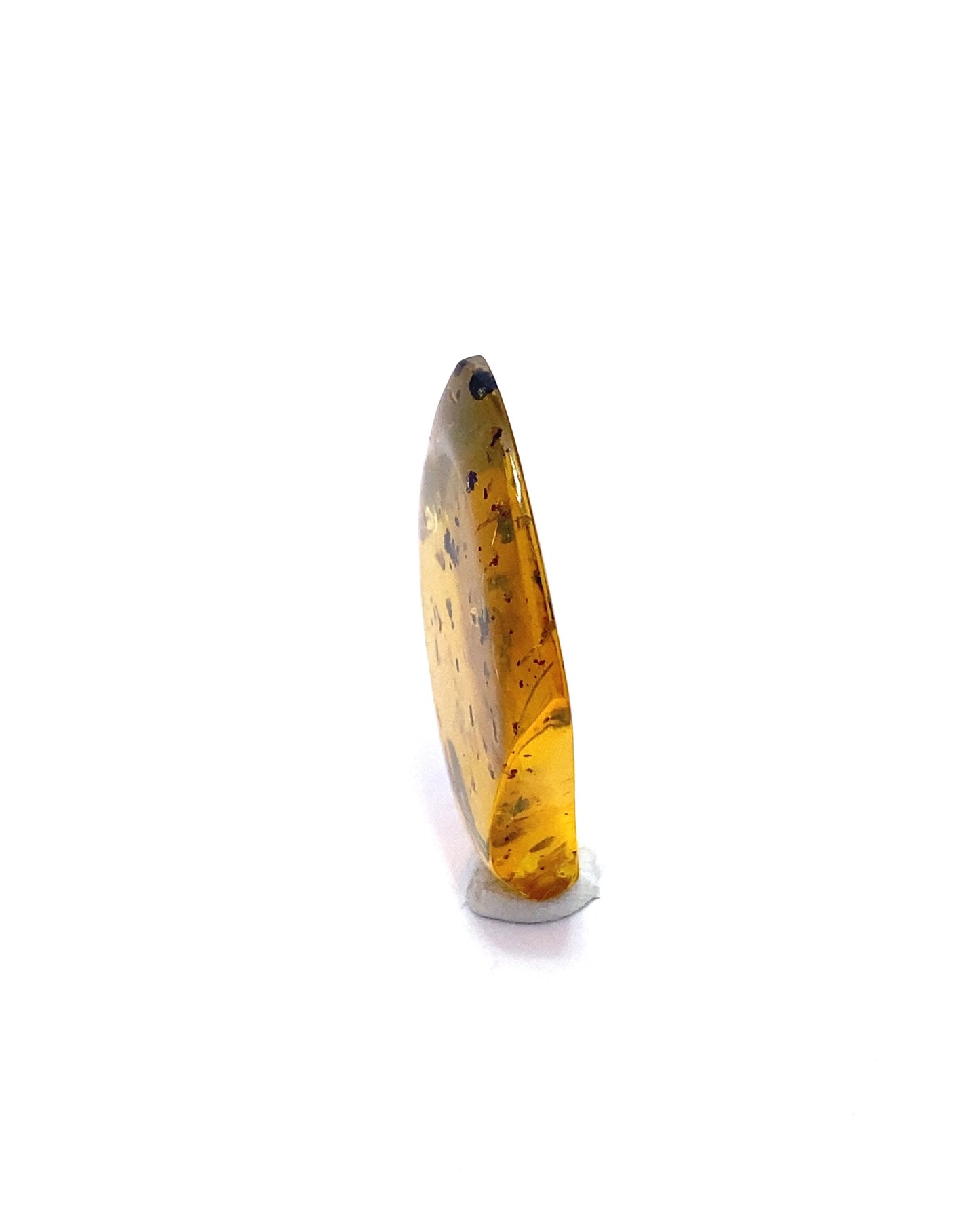 Amber with Insects from Chiapas, Mexico