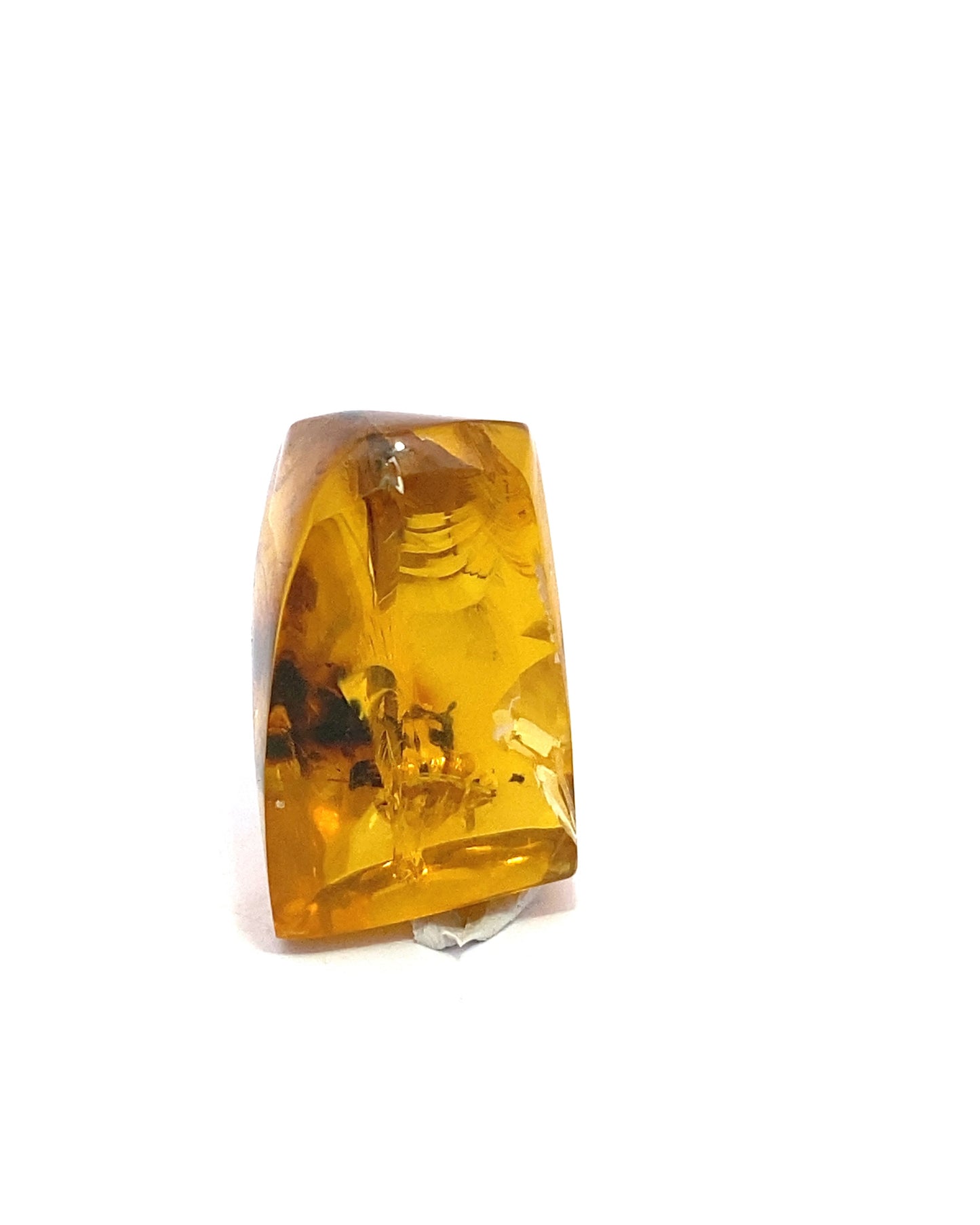 Amber with Insects from Chiapas, Mexico