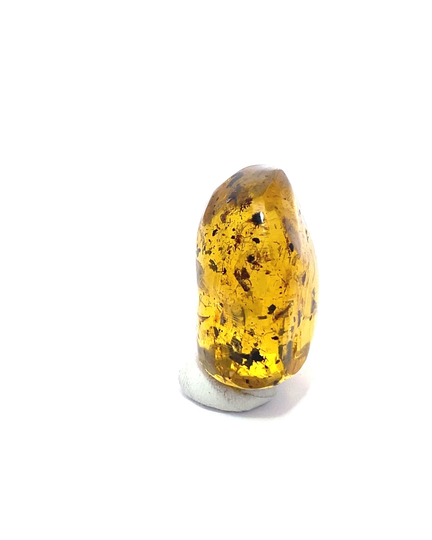 Amber with Insects from Chiapas, Mexico