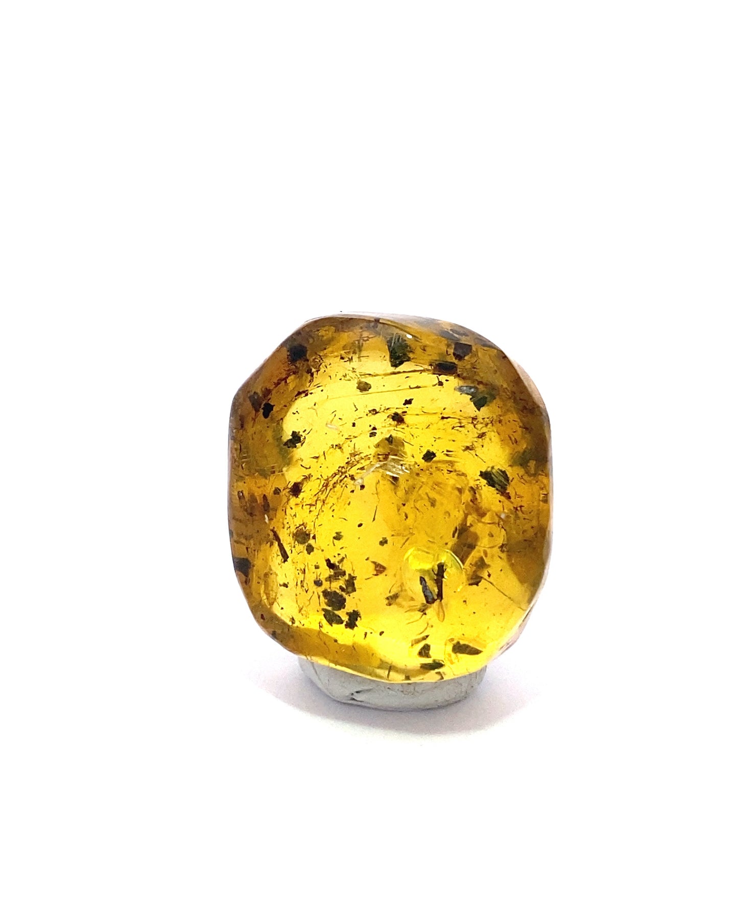 Amber with Insects from Chiapas, Mexico
