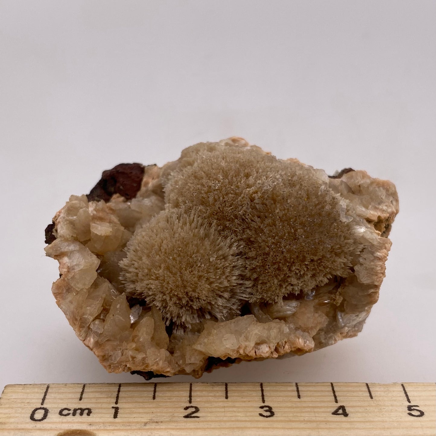Zeolite var. Thomsonite - Maharashtra, India
