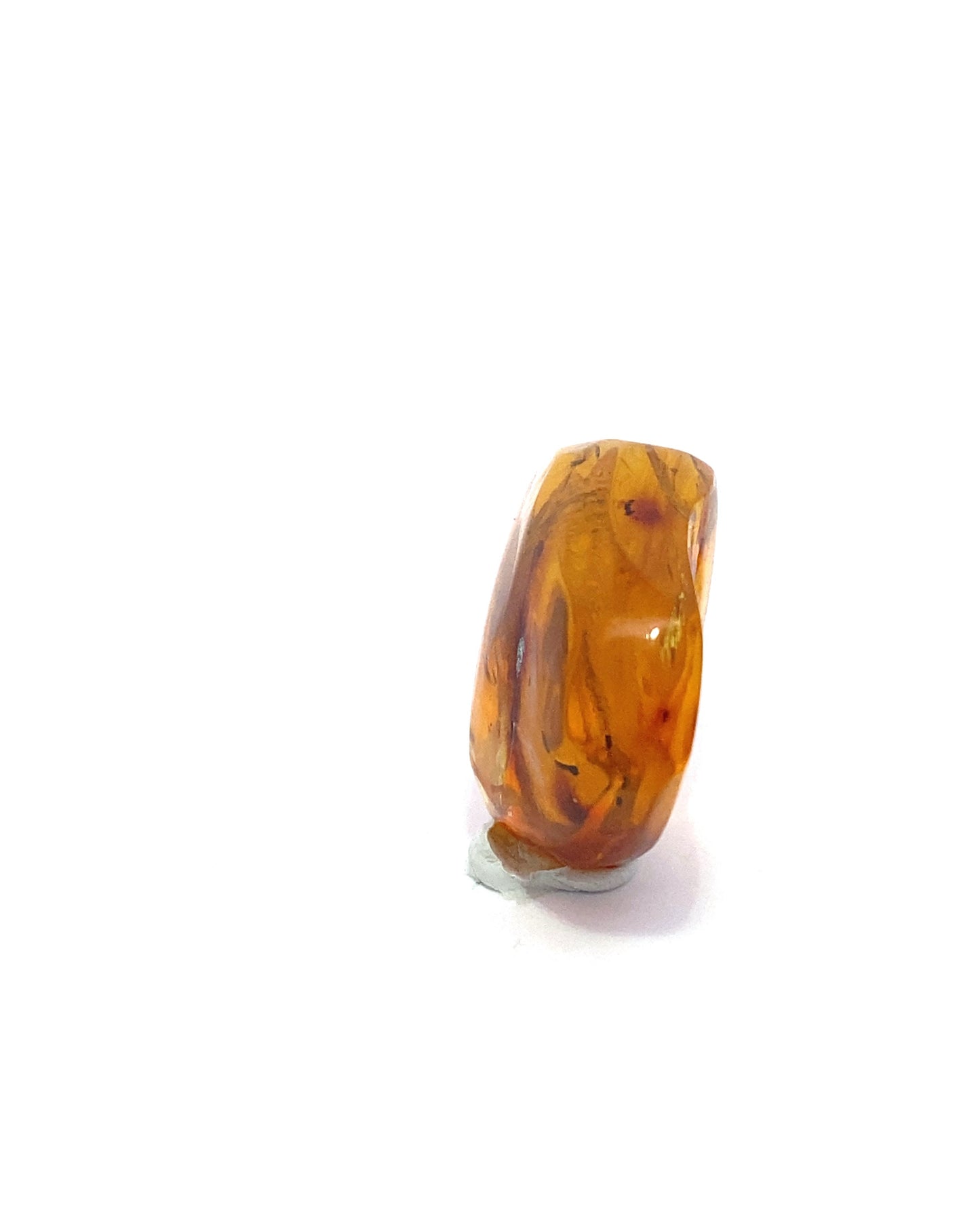 Amber with Insects from Chiapas, Mexico