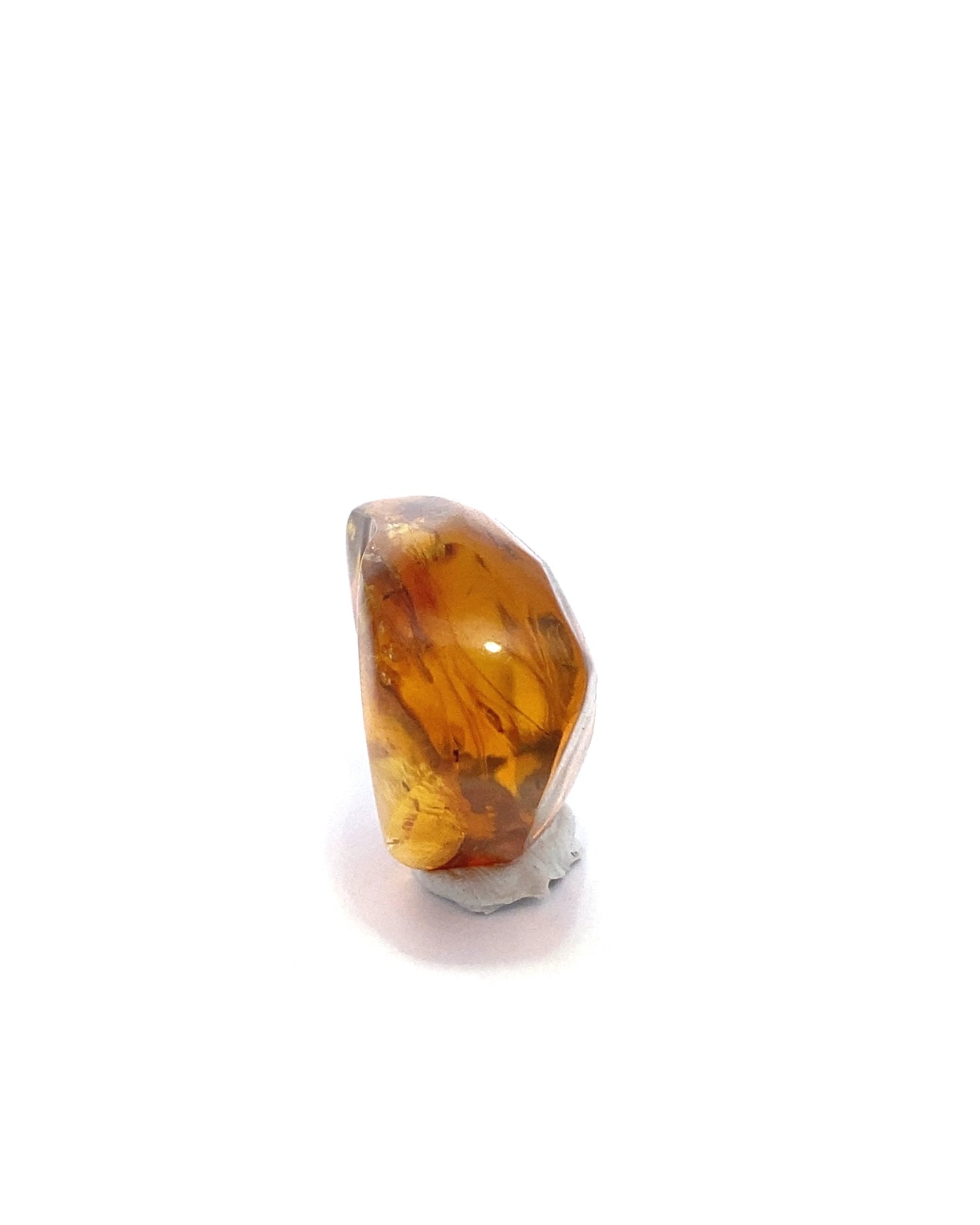 Amber with Insects from Chiapas, Mexico