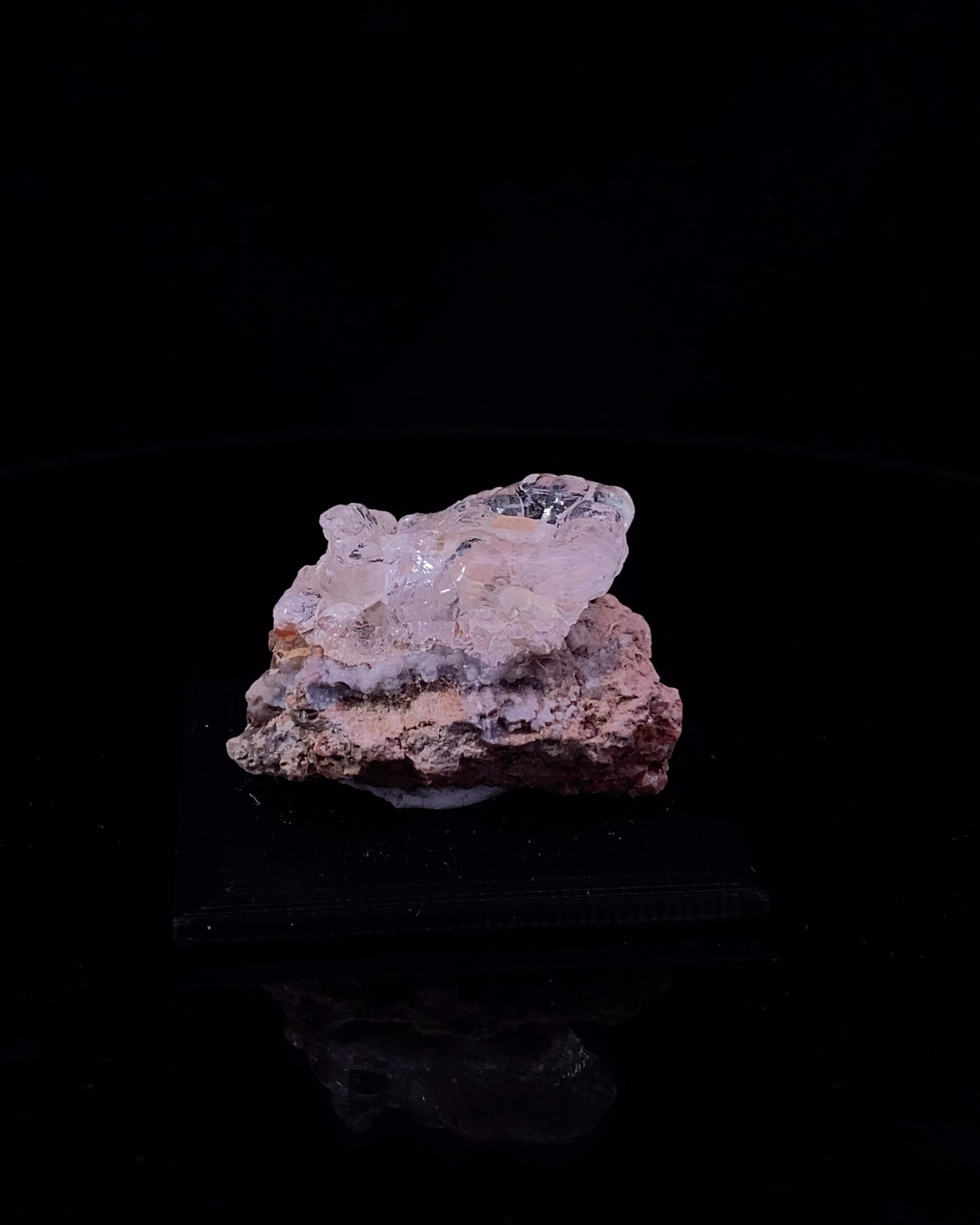 MS258__2023-12-04-16-03-11-1.jpg