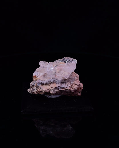 MS258__2023-12-04-16-03-11-1.jpg