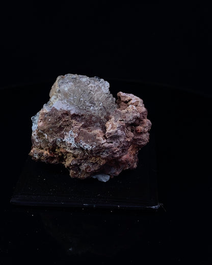 MS262__2023-12-04-16-12-31-2.jpg