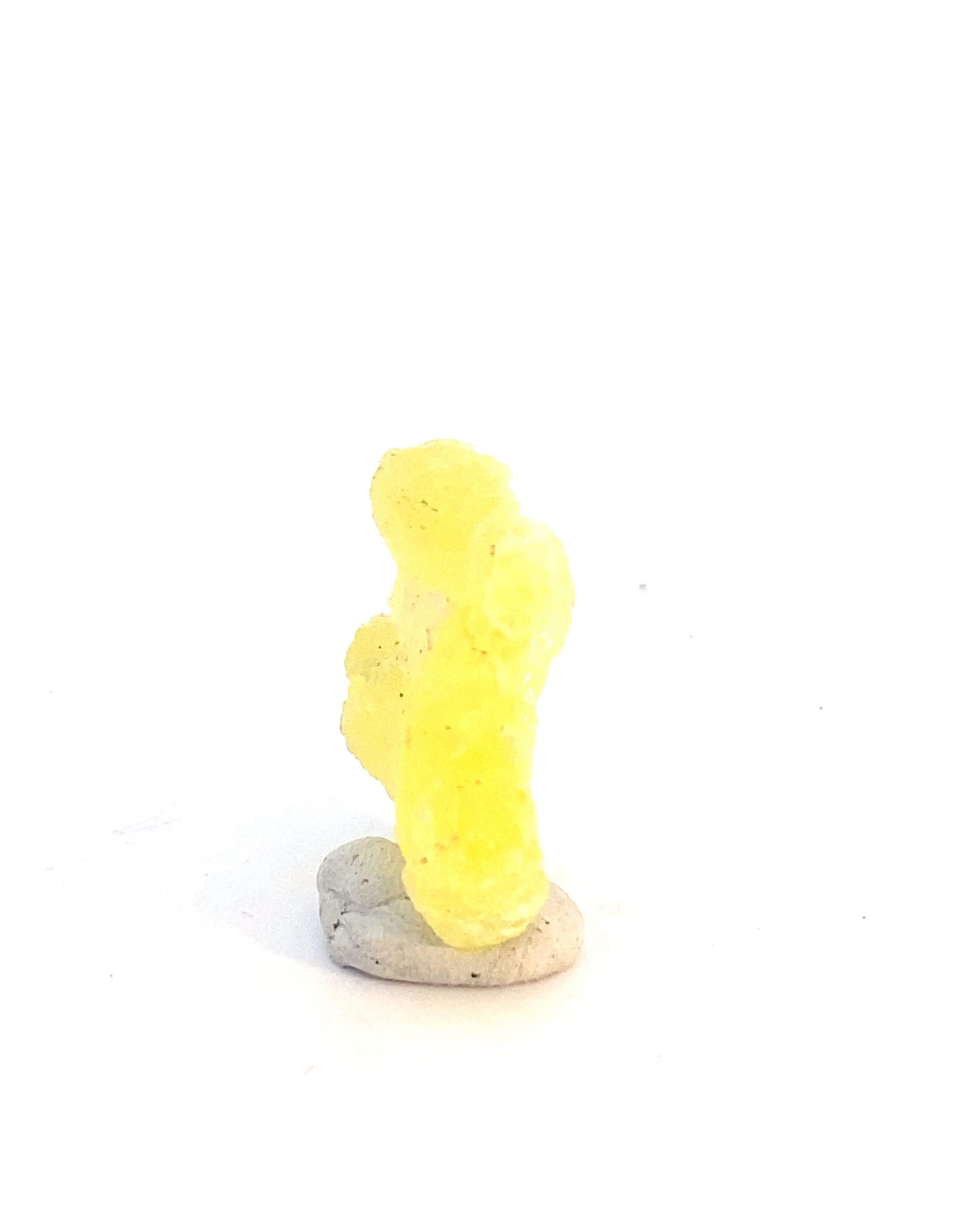 1704776121074-66bef768e85374aa20f6-MS36520240109155118.jpeg