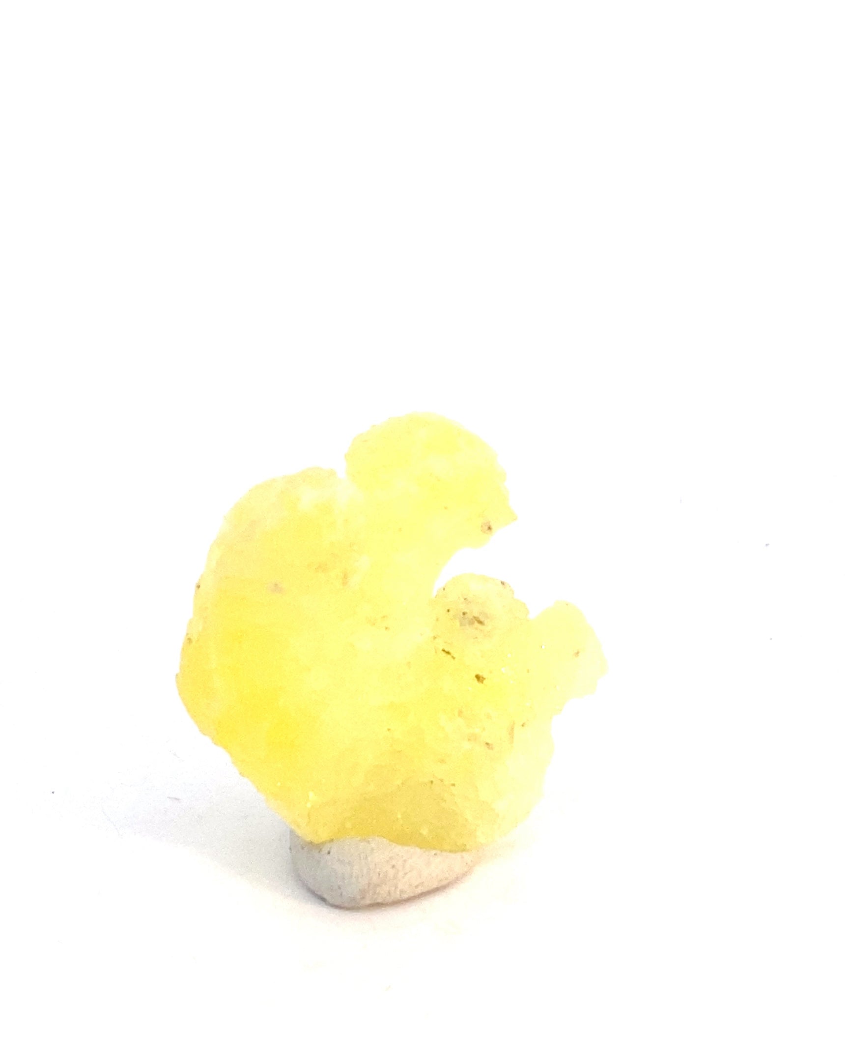 1704776122080-46fcac606a5442bf382f-MS365202401091551181.jpeg
