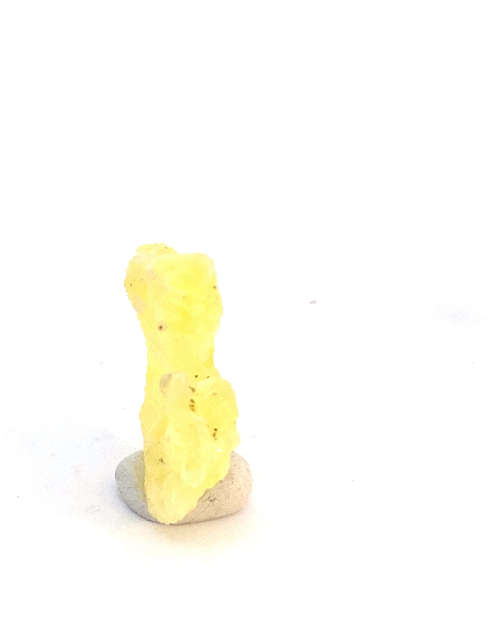 1704776122967-4affb2511a22579b6b73-MS365202401091551182.jpeg
